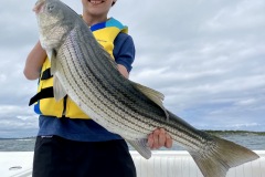 Fish-Newport-RI-Striped-Bass-Fish