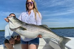 Fish-Newport-RI-Striped-Bass-scaled