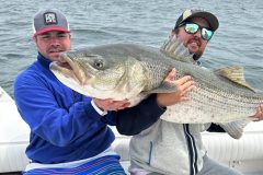 Striped-Bass-50-pounder-scaled