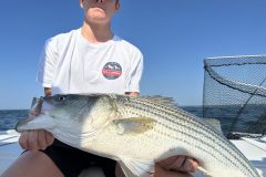 Striped-Bass-Fish-scaled