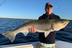 Striped-Bass-Newport-RI