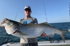 Striped-Bass-Newport