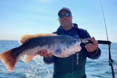 Tautog-Fish-Newport-RI