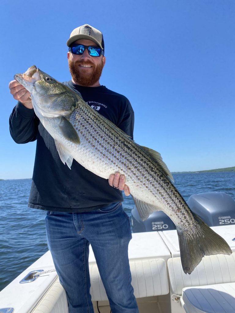 Striped Bass Fishing: species guide, charters and destinations