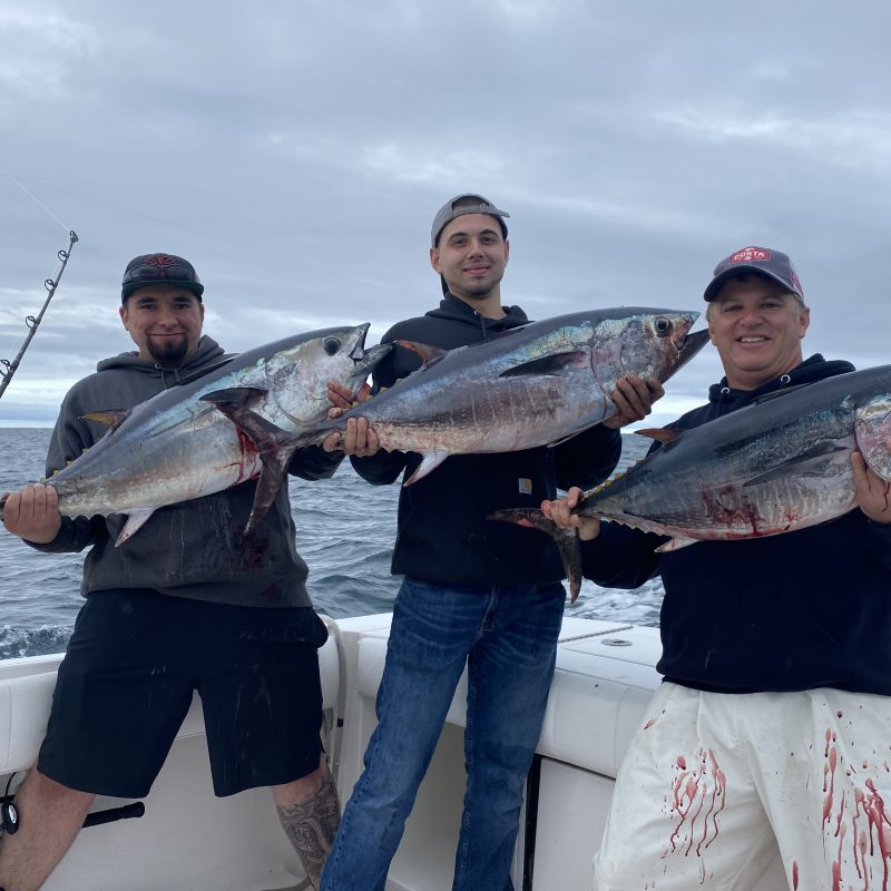 Newport RI Tuna Fishing